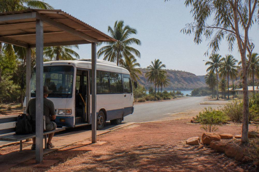 A small town bus parked at a sheltered stop beside a palm-lined street in Broome