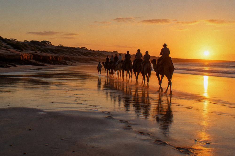 Camels walking along a wide flat beach at sunset