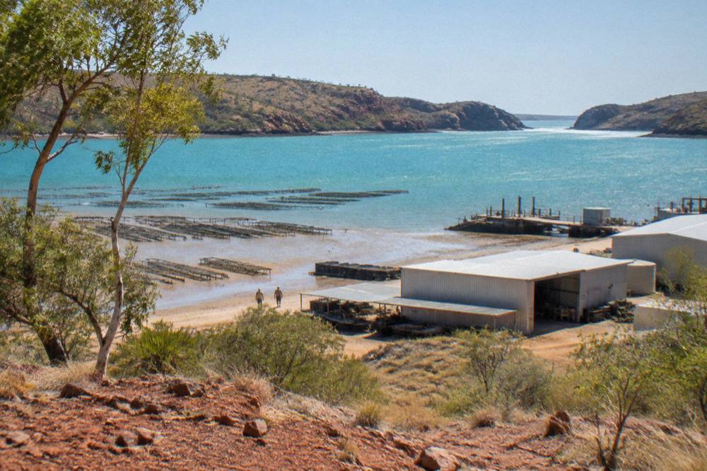 Pearl farm buildings and calm turquoise bay water at the tip of a red peninsular coastline