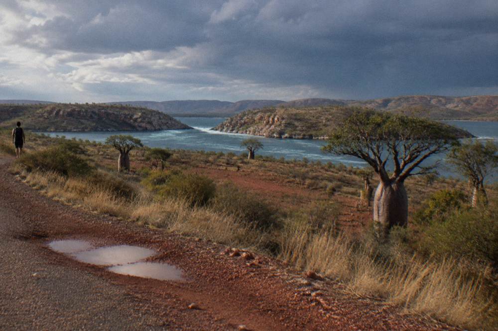 Wide empty Kimberley landscape of red earth, scattered boab trees and distant rocky ranges under a clear sky