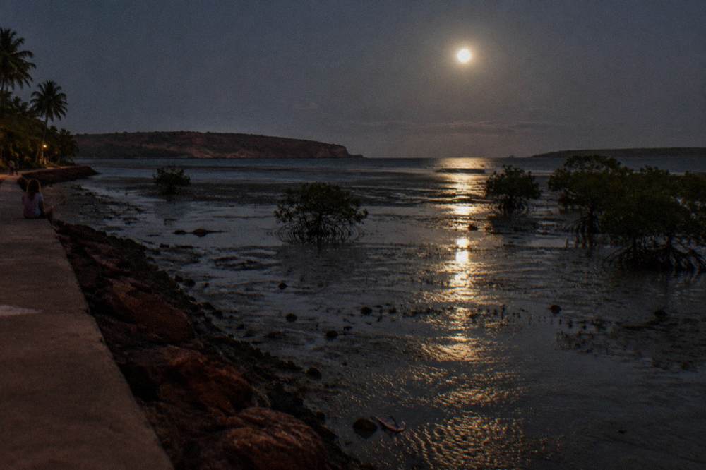 Moonlight reflecting off exposed tidal mudflats creating a glowing path across the water