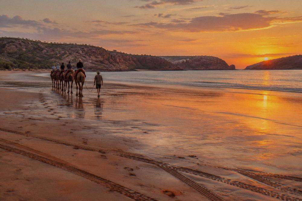Camel train walking along Cable Beach at sunset with orange sand and calm water