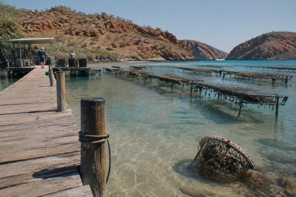 Pearl farm racks in clear shallow water at Cygnet Bay with red cliffs behind