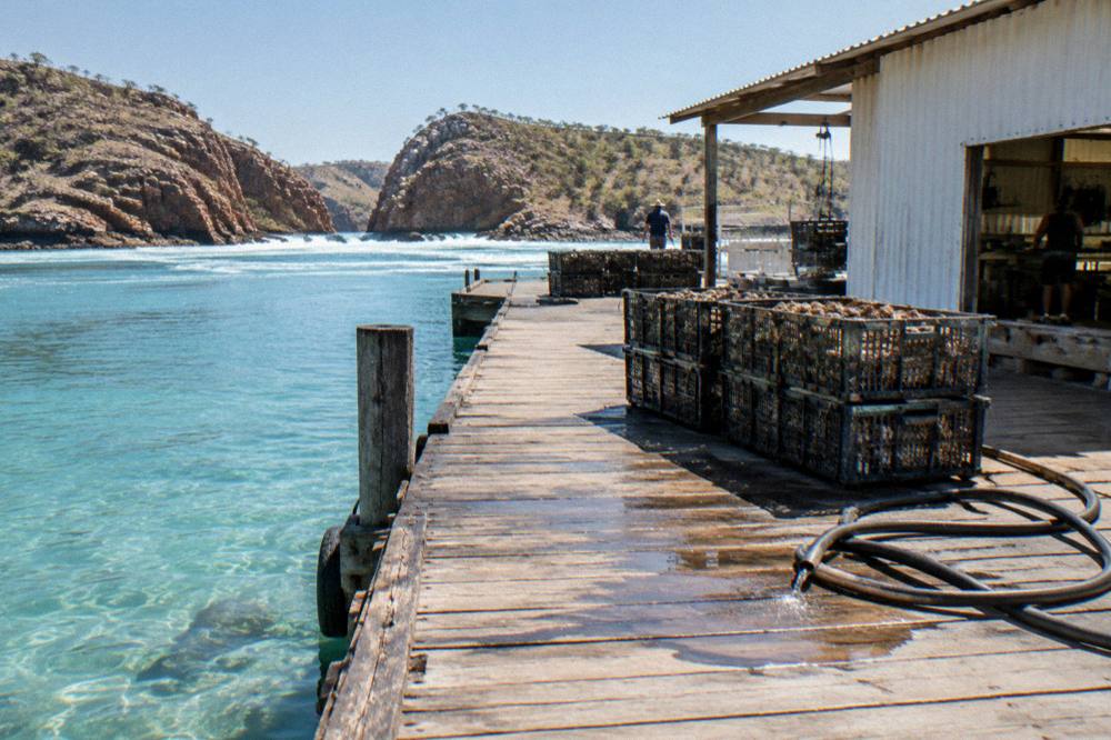 A pearl farm shed beside a jetty on clear tropical water