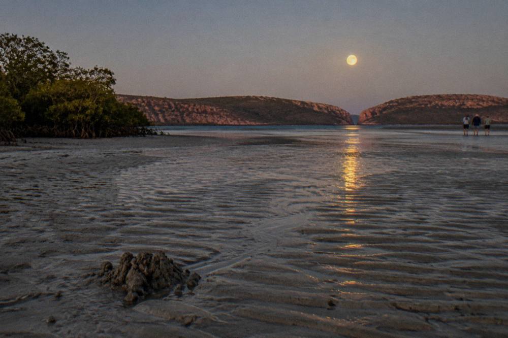 Golden moonlight path stretching across rippled mudflats toward a dark shoreline