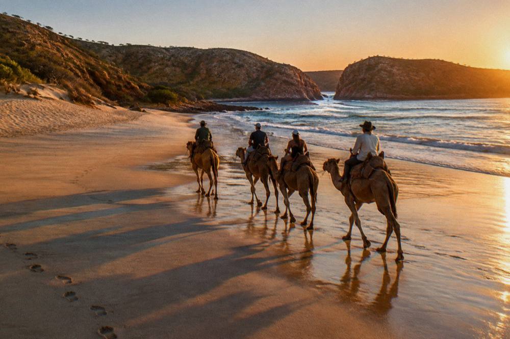 Camels walking along a wide empty beach at sunset with gentle surf