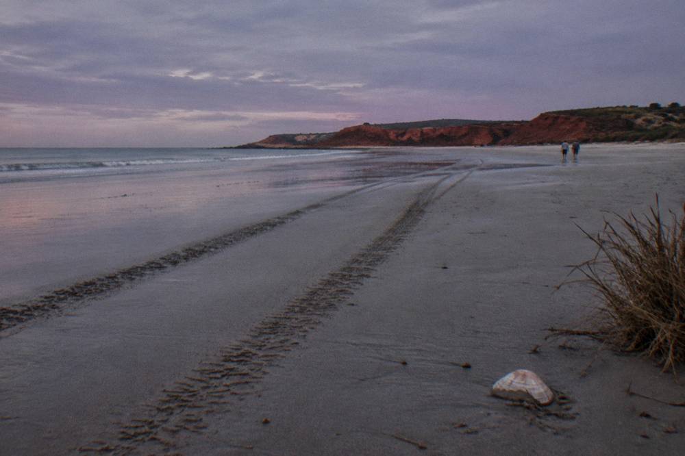 Long sandy beach at sunset with vehicle tracks in the sand