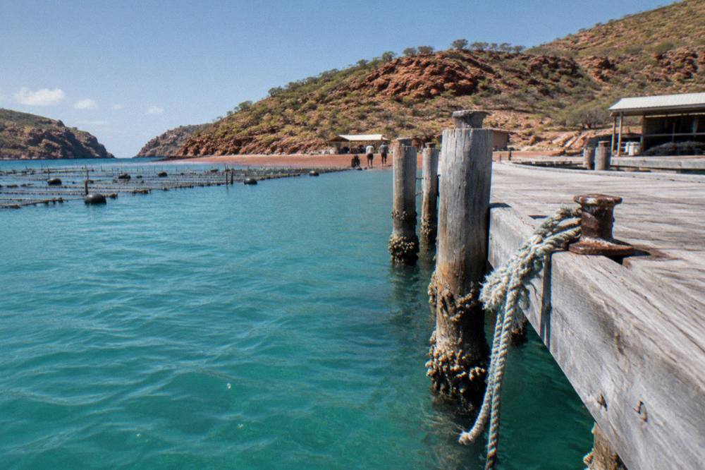 Pearl farm jetty beside clear shallow water at a remote bay